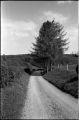Canonet_28-001.jpg