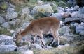 Espagne-1989-043.jpg
