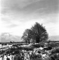 Hasselblad-500-cm-005-print.jpg