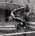 Hasselblad-500cm-055-print.jpg