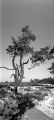 Horizon-202-035-print.jpg
