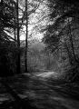 Mamiya-23-special-004-print.jpg