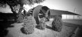 Noon-pinhole-006.jpg