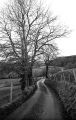 Olympus_af-10_mini-010-cp.jpg