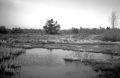 Plaubel-makina-004.jpg