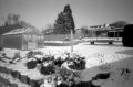 Skink-pinhole-001.jpg