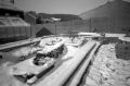 Skink-pinhole-013.jpg