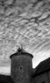 Voigtlander-bessa-t-106-print.jpg