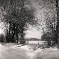 Yashica-A-006-print.jpg