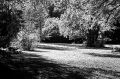 leica-m6-060.jpg