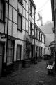 voigtlander_bessa-1-05.jpg