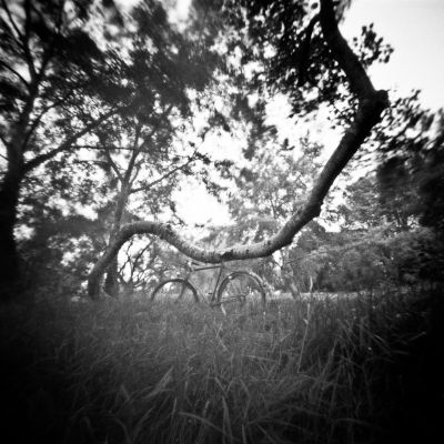 Le détour
Noon pinhole - HP5+ 400@200 - scan de néga
Mots-clés: Noon pinhole HP5+ détour arbre vélo