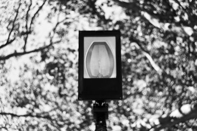 Test bokeh Helios
Nikon FE2 & Hélios 44M 58mm f2 - Kodak PlusX 125@/Rodinal - Scan de néga
