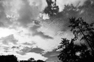 Nuages
Nikon FE2, 20mm Ais, filtre rouge - Tmax - scan de néga
Mots-clés: Nikon FE2 20mm Kodak Tmax nuages