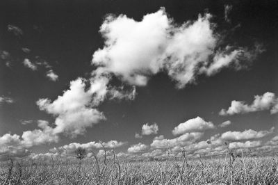 Nuages bretons
Nikon FE2 24mm et filtre orange - Superpan 200@
