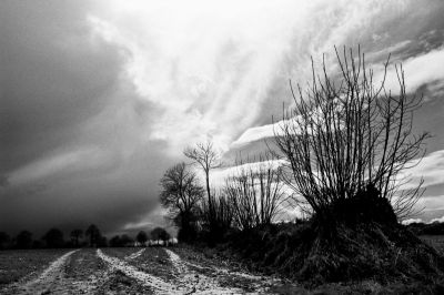 Bordure line
Nikon FE2 24mm et filtre orange - Superpan 200@
