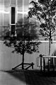 #135_13_n22_scan_original.jpg