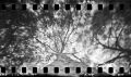 #135_26_n10_scan_original.jpg