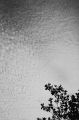 #135_40_n00_scan_original.jpg