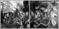 Nom du fichier=Jardin-des-plantes-1.jpg
Taille du fichier=206Ko
Dimensions : 800x406
Ajouté le : 04 Avril 2013 Jardin-des-plantes-1.jpg