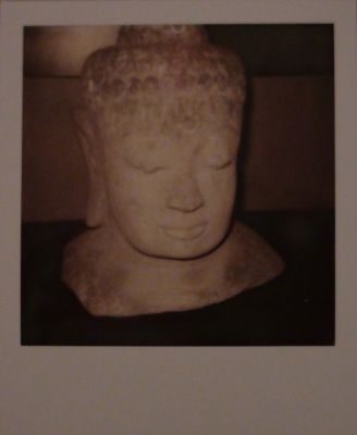 pola...bouddha

