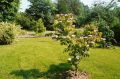 Jardin.jpg