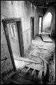 Dernières_Chartreuse019700.jpg