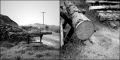 Dyptique_tronc_800x400.jpg