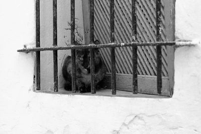 Tunisie_BW102.jpg
