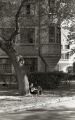 NYC061_-_Copie.jpg