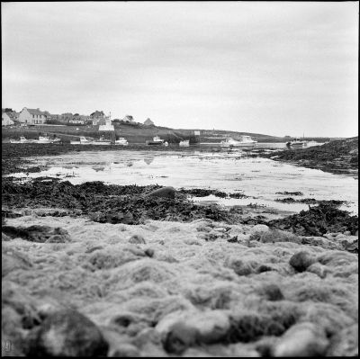 Ile de Molène

