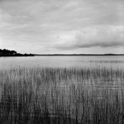Lac de Lacanau

