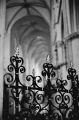 Cathédrale_Saint-Corentin_(4)_(532x800).jpg