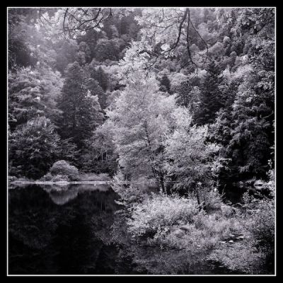 Lac du Fischbœdelé - Vosges
Test de mon Yashica 124G avec un rouleau de Portra 160 converti en N&B avec DXO FilmPack3.
Mots-clés: Yashica Mat 124G Lac Vosges Portra160
