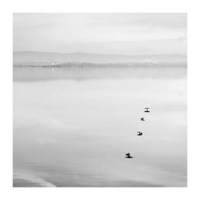 Berre_20111211_acros100_0001.jpg