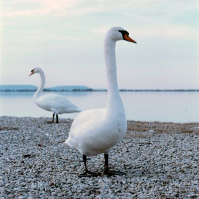Berre_20111211_provia100_0003.jpg