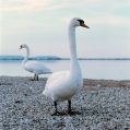 Berre_20111211_provia100_0003.jpg