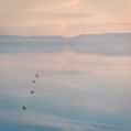 Berre_20111211_velvia50_0008.jpg