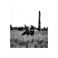 Cheval_aigues_mortes_foma100@100_Xtol_1+1_007_35mm.jpg
