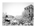 Hotel_de_ville_neige_OM4_triX_02.jpg