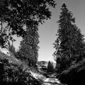 Nom du fichier=Vercors_201208_Foma200_Xtoll_1+1_PF__Xtol1+1_Film7_009.jpg
Taille du fichier=250Ko
Dimensions : 800x800
Ajouté le : 07 Septembre 2012 Vercors_201208_Foma200_Xtoll_1+1_PF__Xtol1+1_Film7_009.jpg