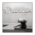 Vx_Port_20120208_foma100_010.jpg