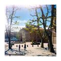 test_ekta-100VS_003.jpg