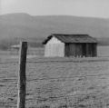 ferme.jpg