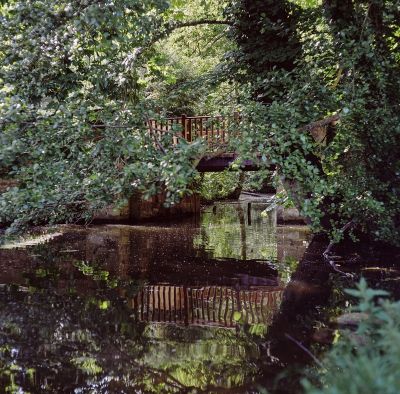 Petit pont de bois
Mots-clés: mamiya C3