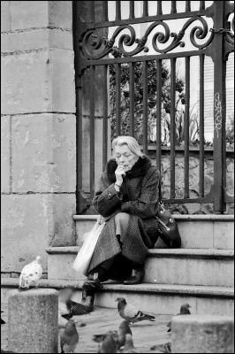 et les pigeons
