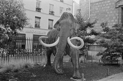 Etrange rencontre au Mac Do
Mots-clés: Nikon F3