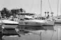 F1000034.JPG