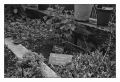Kiev_4_(14).JPG