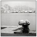 Vx_Port_20120208_foma100_010_1.jpg